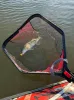 Merítő  Fox Rage Speedflow Folding Landing Nets Large merítő (NLN031)