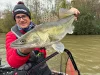 Merítő  Fox Rage Speedflow Folding Landing Nets Large merítő (NLN031)