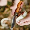 Opinel Tradition Carbon (C) 10db-os zsebkés gyűjtemény, bükk, fa dobozban (O-183102)
