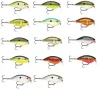 Rapala OGR05 OG Rocco Crankbait Rap 6cm 10g RTBCW (6148047)
