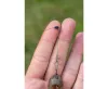 Preston Feeder Links Soft Long 75mm 2db (P0220185)