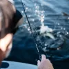 Okuma Psycho Stick 8'0"  243cm 7-21g Extra Fast Jig pergető bot (PSO-S-802M)