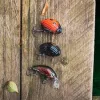 New Salmo Chub Pack 3db-os wobbler szett (QMP012)