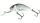 Salmo Hornet Sinking - 3.5cm 2,2g wobbler süllyedő (Qht016)(H3F) Real Dace