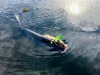 Rapala CCKICK2.5 CrushCity Customs The Kickman 6,3cm 2g 9db gumihal CWF (RA3925058)