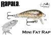 Rapala MFR03 Mini Fat Rap 3cm 4g wobbler - TR (RA5805029)