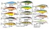 Rapala SSR14 Shallow Shad Rap 14cm 45g wobbler RFSH (RA5807144)