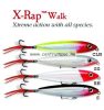 Rapala XR04 X-Rap 4cm 2g wobbler - S színben