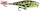 Rapala SP05 Skitter Pop 5cm 5g wobbler - LF