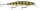 Rapala SDRD11 Shadow Rap® Deep 11cm 13g wobbler BN színben