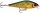 Rapala SSDR16 SCRR Super Shadow Rap® wobbler (RA5818287)