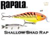 Rapala SSR05 Shallow Shad Rap 5cm 7g wobbler - HT (RA5818562)