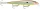 Rapala SCRH13 Scatter® Rap Husky wobbler - HFSBR (RA5820464)