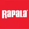 Rapala SDRJD07 Shadow Rap Jack Deep 7cm 10g wobbler - GGH színben