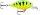 Rapala FNCM03 X-Light Crank Mid Runner 3,5cm 4g wobbler FT - Firetiger színben