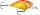 Rapala FNCM03 X-Light Crank Mid Runner 3,5cm 4g wobbler GFR - Gold Fluorescent Red színben