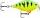 Rapala FNCS03 X-Light Crank Shallow Runner 3,5cm 4g wobbler  FT színben