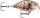 Rapala FNCS03 X-Light Crank Shallow Runner 3,5cm 4g wobbler  PUPU színben