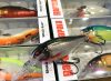 Rapala SRE55 Shad Rap Elite 5,5cm 7g wobbler szín GDFT