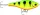 Rapala Super Shadow Rap Jerk SSDRJ11 wobbler FT (RA5825073)