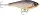 Rapala Super Shadow Rap Jerk SSDRJ11 wobbler HLW (RA5825074)