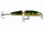 Rapala CDJ11 Countdown Jointed 11cm 16g wobbler P színben (RA5825100)