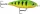 Rapala FNPC05 X-Light Pencil 5cm 4g wobbler - FT (RA5826160)
