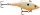 Rapala RNR05 Rattlin' Rap 5cm 11g wobbler - BN Bone
