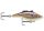 Rapala RNR07 Rattlin' Rap wobbler HSD Holographic Shad (RNR07HSD)