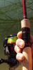 Rapala RedX Perch Ready for Battle 2,06m 6'9" 3-15g Light Fast 2r (RRXPRS692LF)