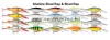Rapala SR05 Shad Rap 5cm 6g wobbler - BGL színben