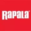 Rapala SR07 Shad Rap 7cm 8g wobbler - LBL