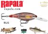 Rapala SR07 Shad Rap 7cm 8g wobbler - RSD színben