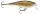 Rapala SSR14 Shallow Shad Rap 14cm 45g wobbler W színben