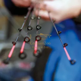   Shimano Feeder Spicc SFT AXH 0,75 Carbon Hollow SD (STIPAXH075SGSD) Hollow belső Furattal