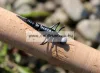 Savage Gear 3D Tpe Mayfly Nymph 5cm 2.5g -  02-Olive (SVS50672) Olajzöld