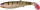 Savage Gear Lb Cannibal Play Body  6,8Cm 3g Gumihal Perch (SVS58985)