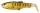 Savage Gear Craft Cannibal Paddletail 10.5cm 12g  Gumihal Dirty Roach (71812)