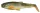 Savage Gear Craft Cannibal Paddletail 12.5Cm 20G  Gumihal Olive Pearl Hot Orange (71824)