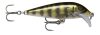 Rapala SDRSS05 Shadow Rap Solid Shad 5cm 5,5g wobbler - PEL szín