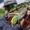 Rapala Sxrl14 X-Rap® Lg Cast Shallow 14Cm 54G Wobbler - GH színben