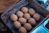 Csúzli - Drennan Softfeed Soft Groundbait 30-40m etetőanyagos csúzli (TCSFG001)