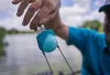 Csúzli - Drennan Softfeed X-Strong Groundbait 40-50m etetőanyagos csúzli (TCSFG003)