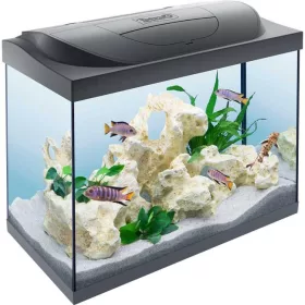   Tetra Starter Line  80 LED komplett felszerelt akvárium 80 liter 61x32x51cm (305632)