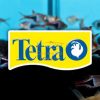 Tetra Starter Line  80 LED komplett felszerelt akvárium 80 liter 61x32x51cm (305632)
