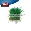 Trixie Rágcsáló és díszmadár fű csemege 100g (TRX6035)
