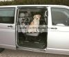 Trixie Pet Car Seat Cover erős védőhuzat egy ülésre autóba 65x145cm (Trx13235)