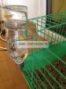 Trixie Honey & Hopper Drinky üveg itató kisállatoknak 250ml (Trx60446)