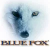 Blue Fox Vibrax® Original villantó BF5 13g Comet (VX2518003)