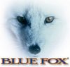Blue Fox Vibrax® Original villantó BF6 18g Gold (VX2587468)